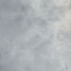 Meet your Posher, Bryan